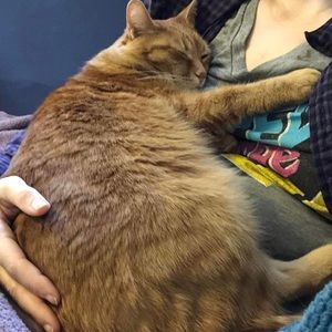 Meet your Posher, River